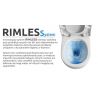 Vas wc EGO-Raul, suspendat, Rimless-fara bordura, capac Duroplast inclus, 49x33.5 cm Vas wc EGO-Raul, suspendat, Rimless-fara bordura, capac Duroplast inclus, 49x33.5 cm