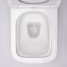 Vas wc EGO-Raul, suspendat, Rimless-fara bordura, capac Duroplast inclus, 49x33.5 cm Vas wc EGO-Raul, suspendat, Rimless-fara bordura, capac Duroplast inclus, 49x33.5 cm
