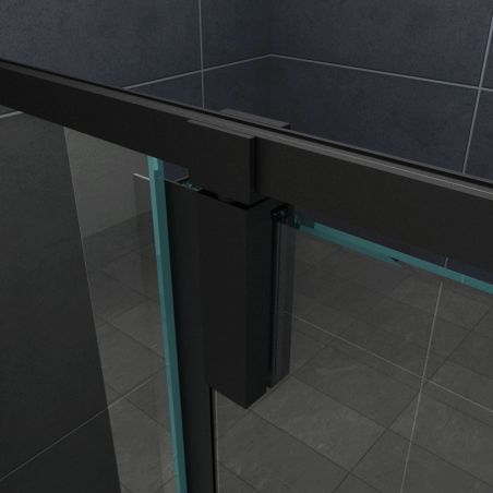 Cabina Ego-Lord, perete fix, usa batanta, negru mat, sticla 8 mm, 120x80 sau 120x90x195 cm, cu sau fara cadita, Nano Easy Clean