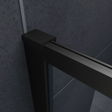 Cabina Ego-Lord, perete fix, usa batanta, negru mat, sticla 8 mm, 120x80 sau 120x90x195 cm, cu sau fara cadita, Nano Easy Clean