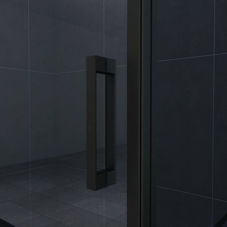 Cabina Ego-Lord, perete fix, usa batanta, negru mat, sticla 8 mm, 120x80 sau 120x90x195 cm, cu sau fara cadita, Nano Easy Clean