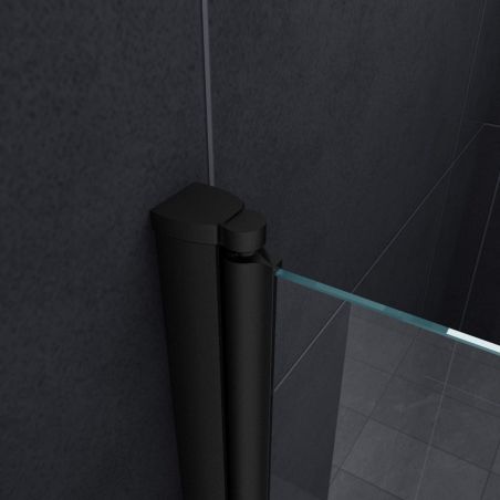 Paravan cada EGO-Sola, pliabil ,100-120 x 140 cm, sticla 6 mm, tratament Nano Easy Clean, finisaj negru