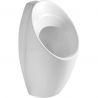 Urinal,pisoar EGO-Aster, montaj pe perete, 63 x 33 cm, ceramica sanitara, Alb Urinal,pisoar EGO-Aster, montaj pe perete, 63 x 33 cm, ceramica sanitara, Alb