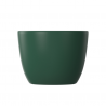 Vas bideu EGO Michael, 49x36 cm, Verde, Power Colour, semi-mat, montaj suspendat, cu preaplin