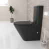 Vas WC EGO Dario Rimless, rezervor inclus, 2 piese, Negru mat, Power Colour, montaj podea, capac duroplast slim soft-close