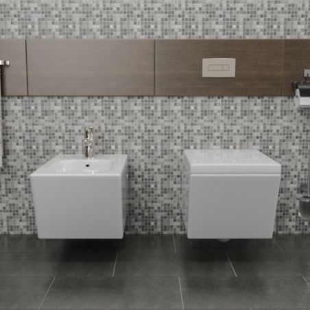Vas Bideu EGO Antonio, Alb, 55x35 cm montaj suspendat, cu preaplin