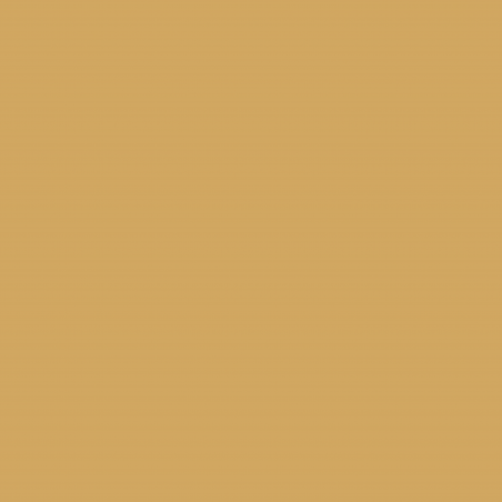 Furtun dus OMNIRES ARMANCE VINTAGE, finisaj PVD, Auriu, 150 cm, PVC, interblocare
