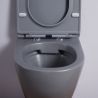 Vas Wc, Gri Mat, Power Color, Rimless, 49x36 cm, montaj suspendat, capac Duroplast, ceramica sanitara, Ben