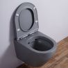 Vas Wc, Gri Mat, Power Color, Rimless, 49x37 cm, montaj suspendat, capac Duroplast, ceramica sanitara, Ben