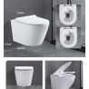 Vas Wc, Alb Lucios, Rimless, 49x36 cm, montaj suspendat, capac Duroplast, ceramica sanitara, Sidef Vas Wc, Alb Lucios, Rimless, 49x36 cm, montaj suspendat, capac Duroplast, ceramica sanitara, Sidef