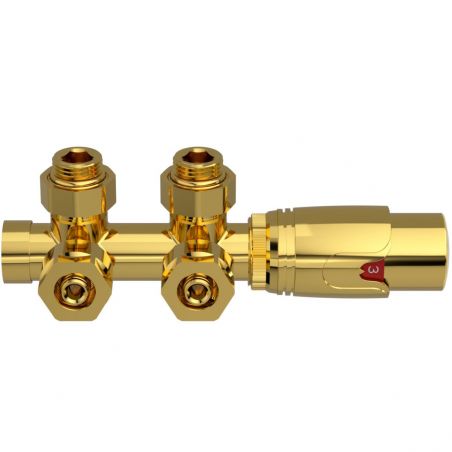 Set robinet, cap termostatic cu ventil, alama, 5 trepte reglabile, tur-retur, Auriu Lucios