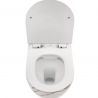 Vas Wc, finisaj marmura, Rimless, 49x36 cm, montaj suspendat, capac cu Soft-Close, ceramica sanitara, Ben