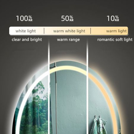 Oglinda Led, Dezaburire si Buton Touch, 3 Culori, Intensitate reglabila, dimensiuni 50-75x70-100 cm, Fiesta
