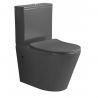 Vas WC Rimless, rezervor inclus, 2 piese, Gri Mat, Power color, montaj podea, capac duroplast slim soft-close, Dario
