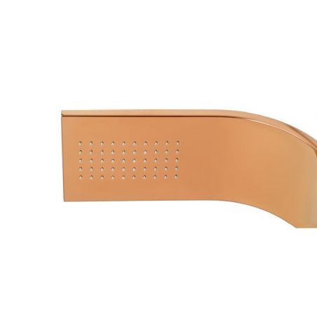 Panel dus, Termostat, dus tip Ploaie, Hidromasaj, dus de mana inclus, finisaj Deosebit Panel dus, Termostat, dus tip Ploaie, Hidromasaj, dus de mana inclus, finisaj Deosebit