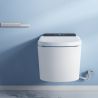 Vas wc smart, functie de bideu, capac incalzit, dezinfectare UV, cadru inclus, afisaj Led, Functii avansate, 59x38, Alb, Ralph