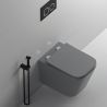 Vas WC Rimless, Gri Mat, Power Color,  montaj suspendat, capac duroplast slim soft-close inclus, Alfonso