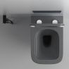 Vas WC Rimless, Gri Mat, Power Color,  montaj suspendat, capac duroplast slim soft-close inclus, Alfonso