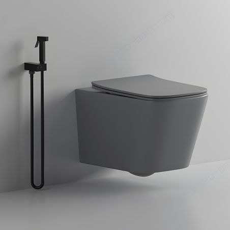 Vas WC Rimless, Gri Mat, Power Color,  montaj suspendat, capac duroplast slim soft-close inclus, Alfonso