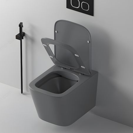 Vas WC Rimless, Gri Mat, Power Color,  montaj suspendat, capac duroplast slim soft-close inclus, Alfonso