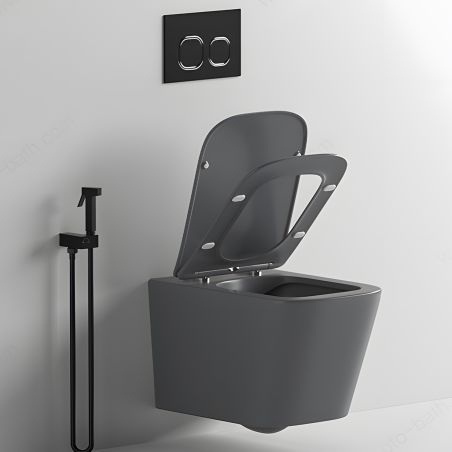 Vas WC Rimless, Gri Mat, Power Color,  montaj suspendat, capac duroplast slim soft-close inclus, Alfonso