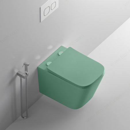 Vas WC Rimless, Verde Mint Mat, Power Color,  montaj suspendat, capac duroplast slim soft-close inclus, Alfonso