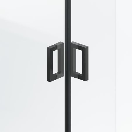 Cabina de dus, sticla securizata 6mm , Transparent, Negru, 2 usi Batante, dimensiuni: 80-90x120 cm, Axis