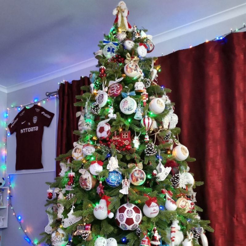 Brad de Craciun artificial, premium,  ramuri 3D PE, 220 cm, suport inclus,  Ego-Sw