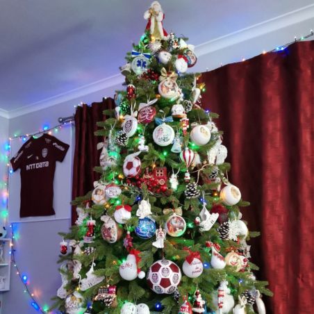 Brad de Craciun artificial, premium,  ramuri 3D PE, 220 cm, suport inclus,  Ego-Sw