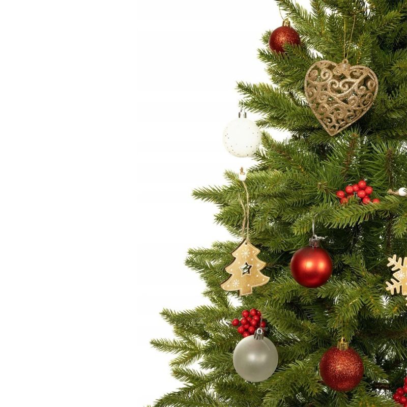 Brad de Craciun artificial, premium,  ramuri 3D PE, 220 cm, suport inclus,  Ego-Sw