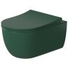 Vas WC Verde, Power Colour, semi-mat, 49x36 cm, montaj suspendat, capac duroplast soft-close easy off, Molis