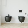 Set vas wc si bideu, Negru, semi-mat, Power Color, montaj suspendat, 49x36 cm, colectia Molis