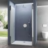 Usa de nisa EGO-24D, sticla securizata 6 mm, Sablata, Deschidere 180°, dimensiune de 100x195 cm, tratament Nano Easy Clean