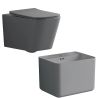 Set vas wc si lavoar, Gri Mat, Power Color, 51x35-50x40 cm, montaj suspendat si pe blat, capac duroplast, Alfonso