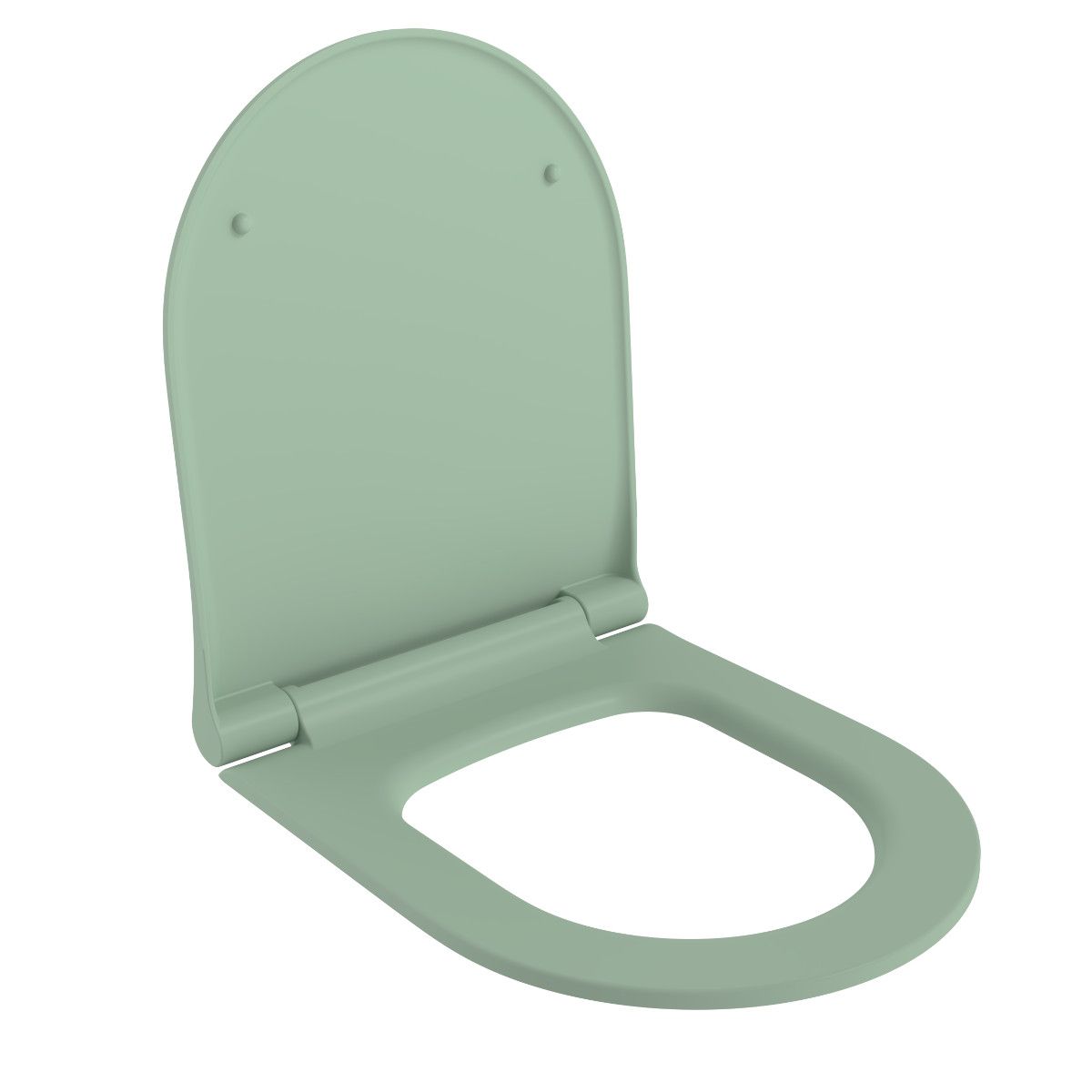 Vas WC EGO Michael Rimless, 49x37 cm, Verde Mint Mat, Power Colour, montaj suspendat, capac duroplast soft-close easy off