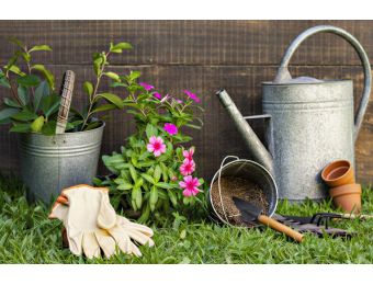 Amenajări grădini mici – idei și modele practice